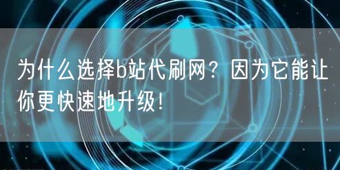 为什么选择b站代刷网？因为它能让你更快速地升级！